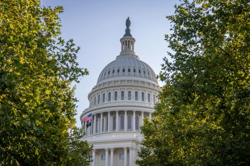US Capitol dome framed by trees, illuminated in warm sunset light, in Washington D.C.